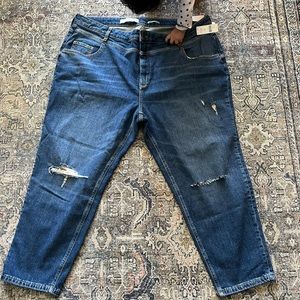 Anthropologie x Pilcro and the Letterpress Plus 20W Distressed Jeans